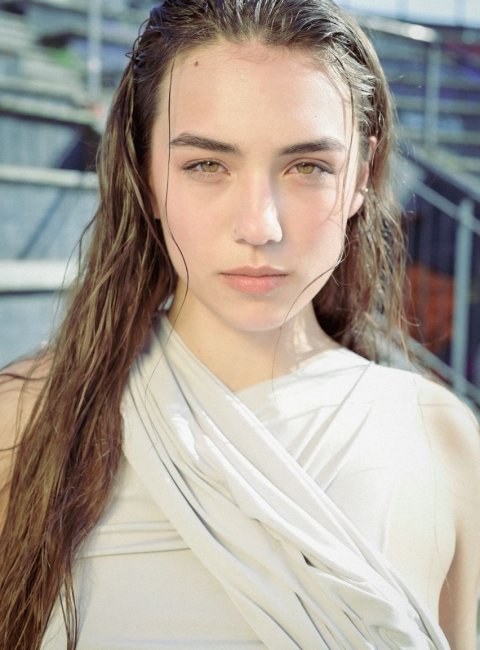 Daisy