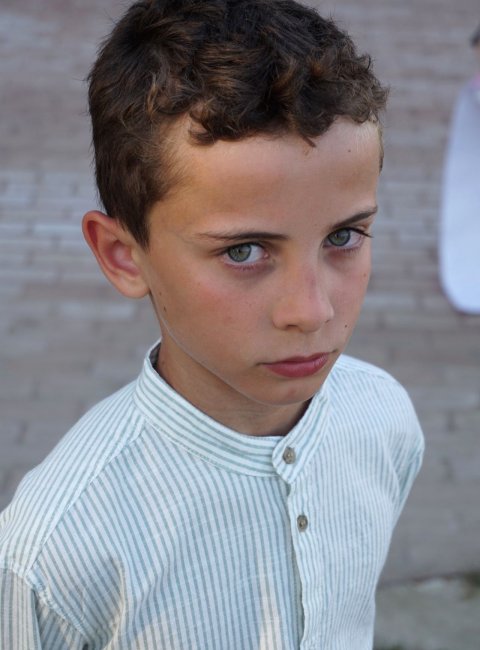 Dario